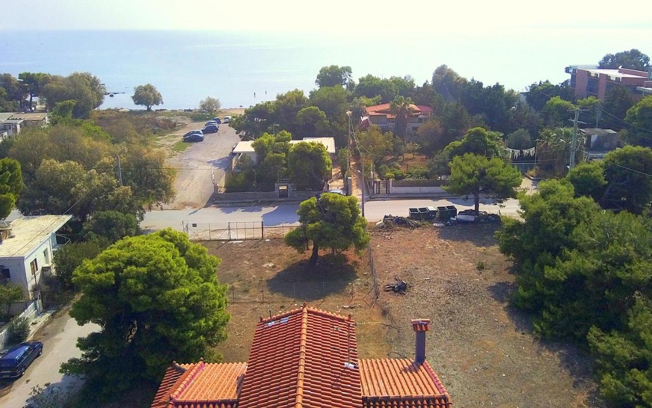 Augoustinos - Sea Side Luxury Apartments أرتيميدا المظهر الخارجي الصورة
